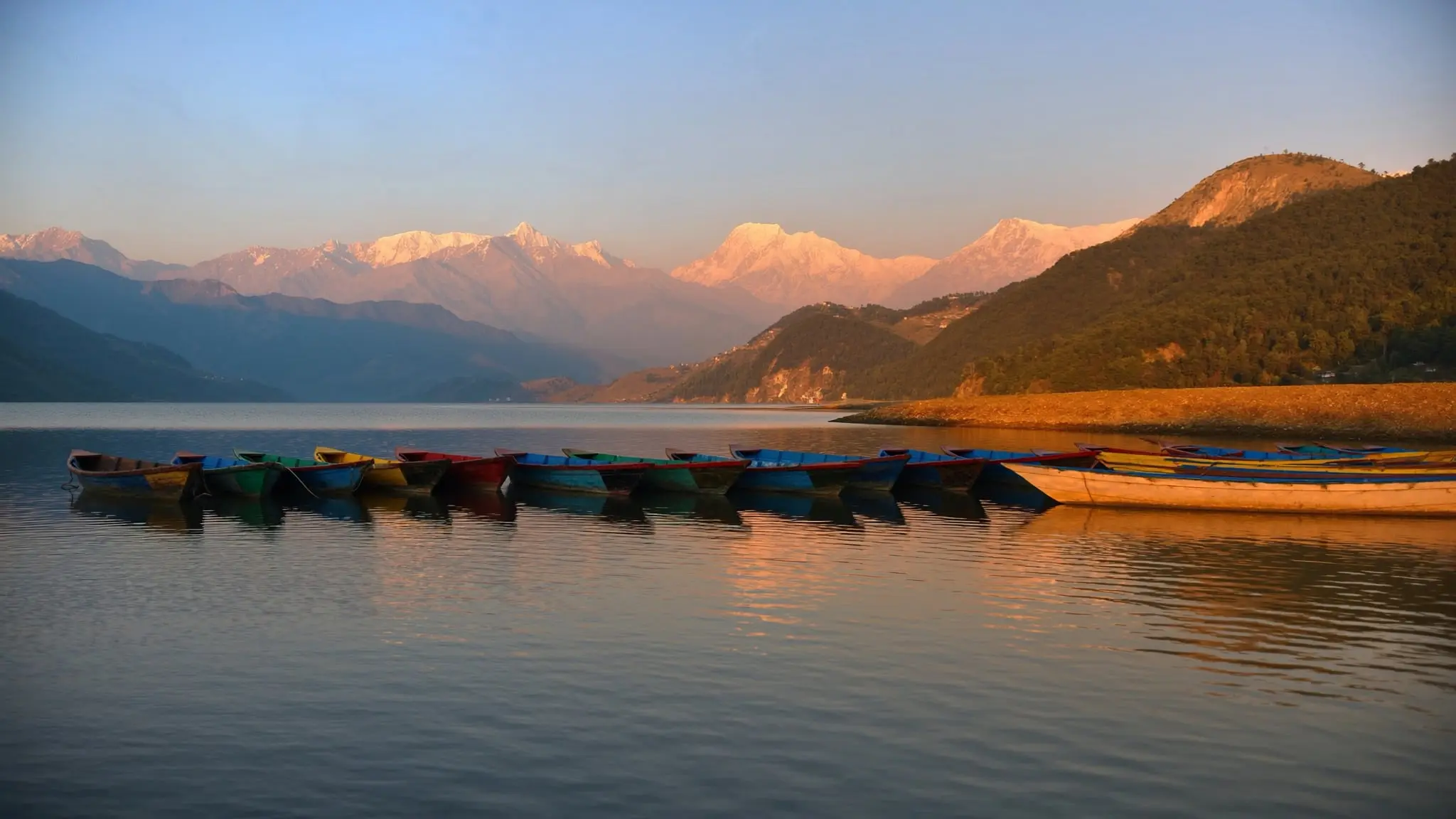 Colorful wooden boats on Phewa Lake at golden hour
